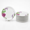 Ariya 11 Inch Melamine Dinner Plate Rosy Vine Collection Set of 12