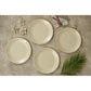 Ariya 10.5" Melamine Dinner Plates Set of 24 – Golden Mirage
