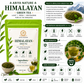 Ariya Nature Himalayan Green Tea 100 Gram | Pure Green Tea Leaves, Natural & Vegan