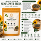 Ariya Nature Organic Sunflower Seeds 200 Gram| Natural, Vegan & Non-GMO Snack